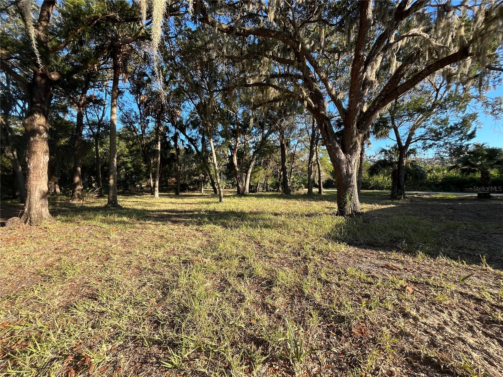 12251 W RED MAPLE ST, HOMOSASSA, FL, 34448