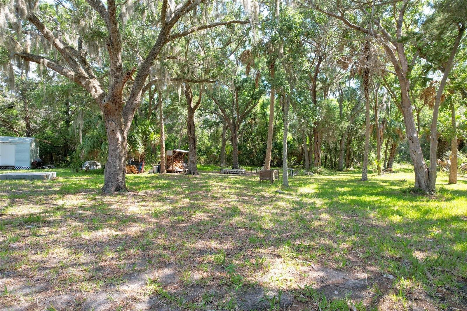 12251 W RED MAPLE ST, HOMOSASSA, FL, 34448