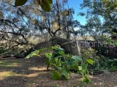 OM693236 Property Photo