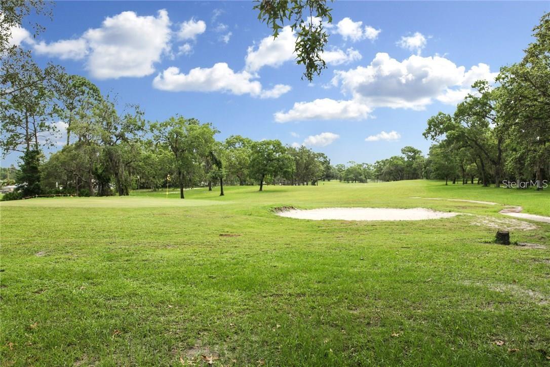 7724 ST ANDREWS BLVD, WEEKI WACHEE, FL, 34613