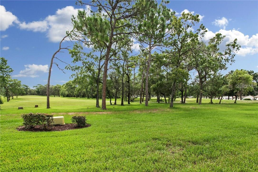 7724 ST ANDREWS BLVD, WEEKI WACHEE, FL, 34613