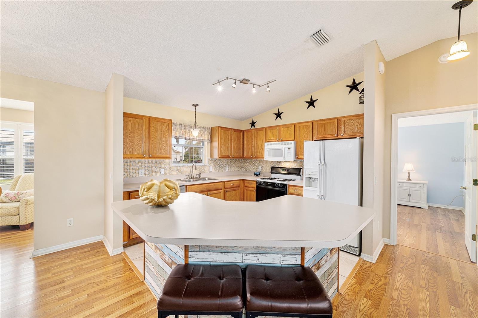 3200 WOODRIDGE DR, THE VILLAGES, FL, 32162