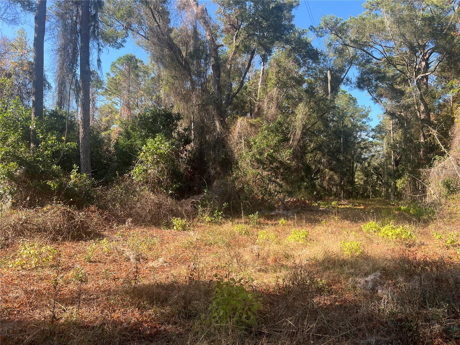 15416 SW 175 AVE, ARCHER, FL, 32618