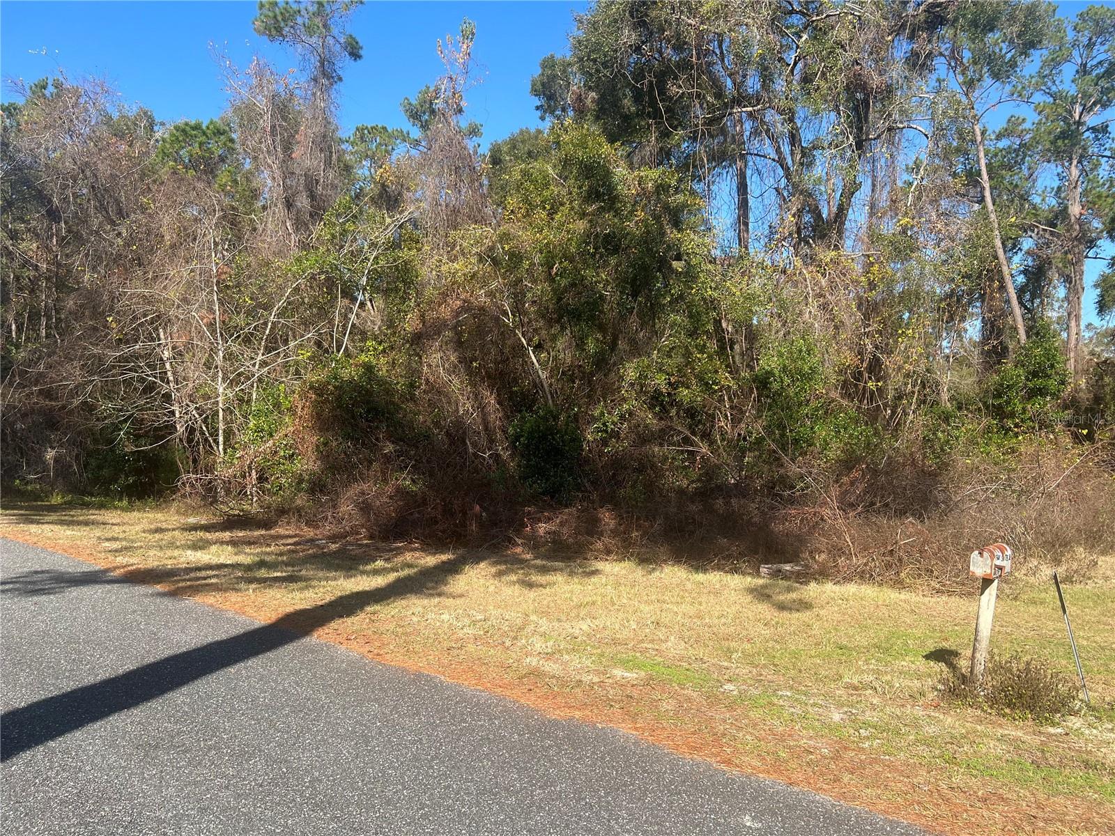 15416 SW 175 AVE, ARCHER, FL, 32618