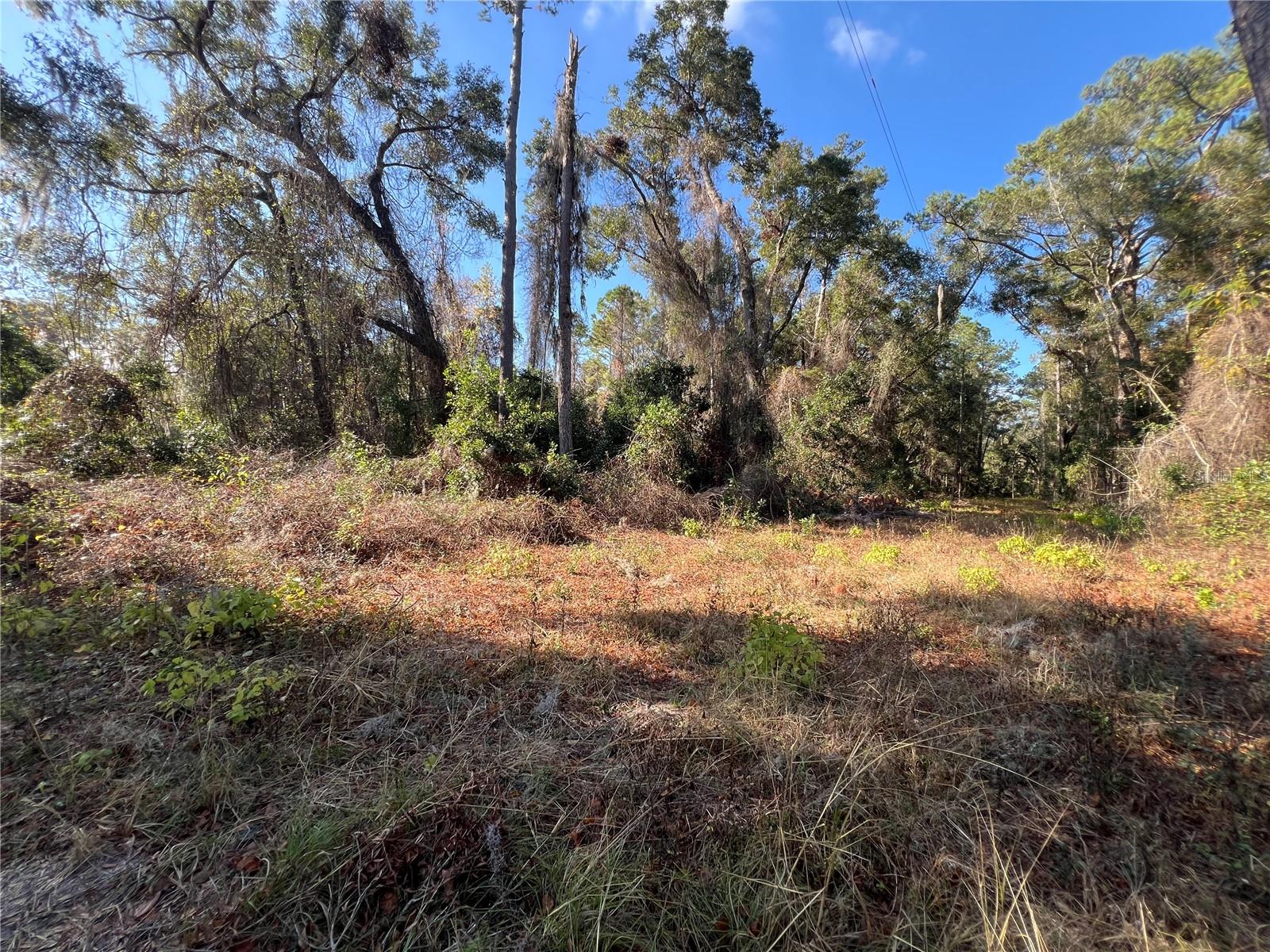 15416 SW 175 AVE, ARCHER, FL, 32618