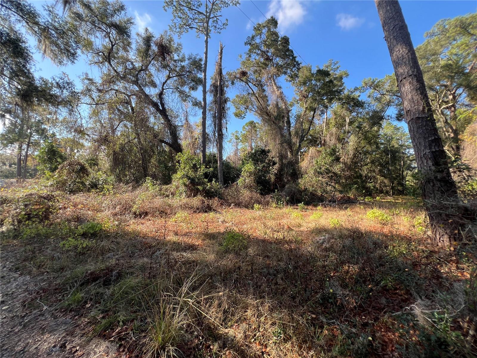 15416 SW 175 AVE, ARCHER, FL, 32618