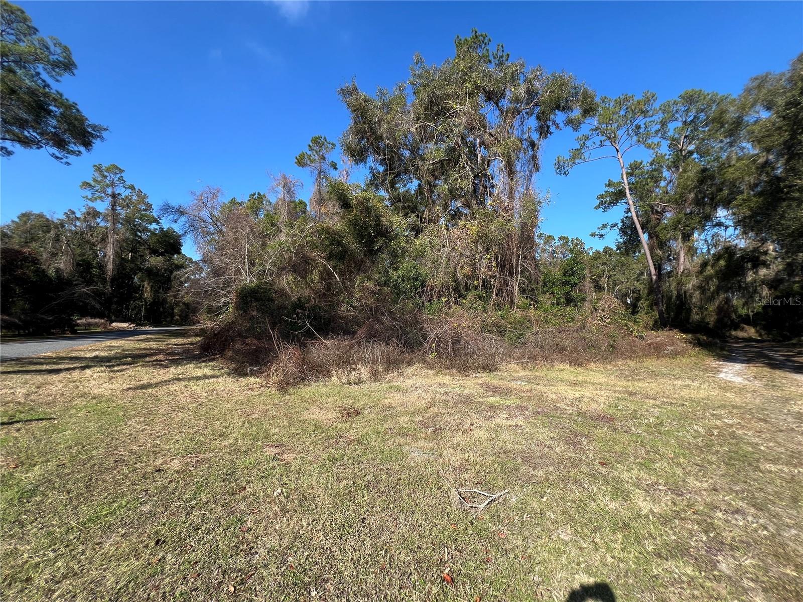 15416 SW 175 AVE, ARCHER, FL, 32618