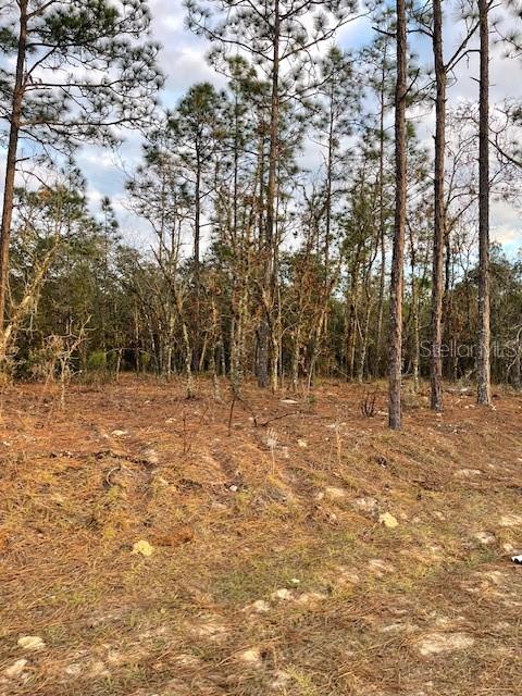 0 SW 123RD AVE, OCALA, FL, 34481
