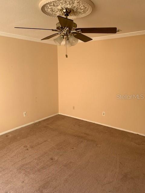 310 BLUE JACKET LN, ORLANDO, FL, 32825
