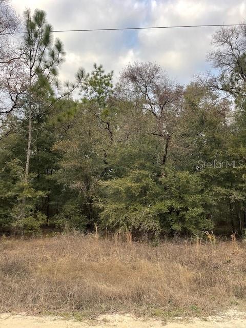 0 SW 94TH  LANE, DUNNELLON, FL, 34432