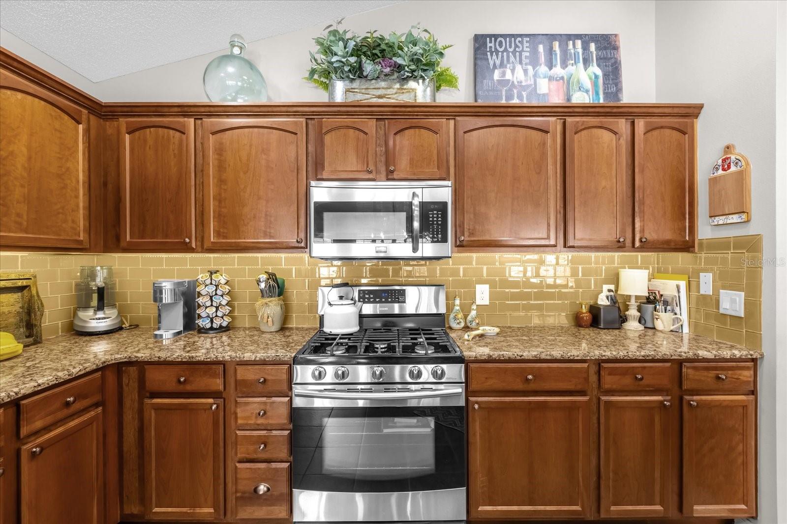1038 COTTAGEVILLE LN, THE VILLAGES, FL, 32162
