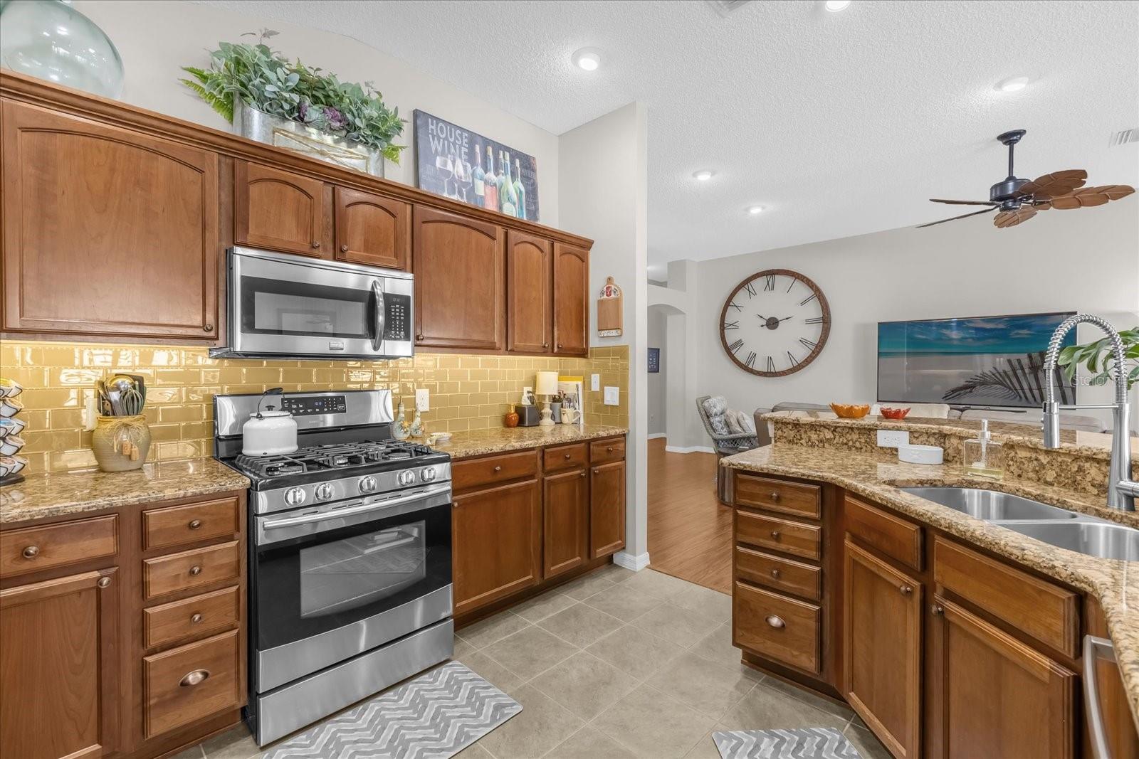 1038 COTTAGEVILLE LN, THE VILLAGES, FL, 32162