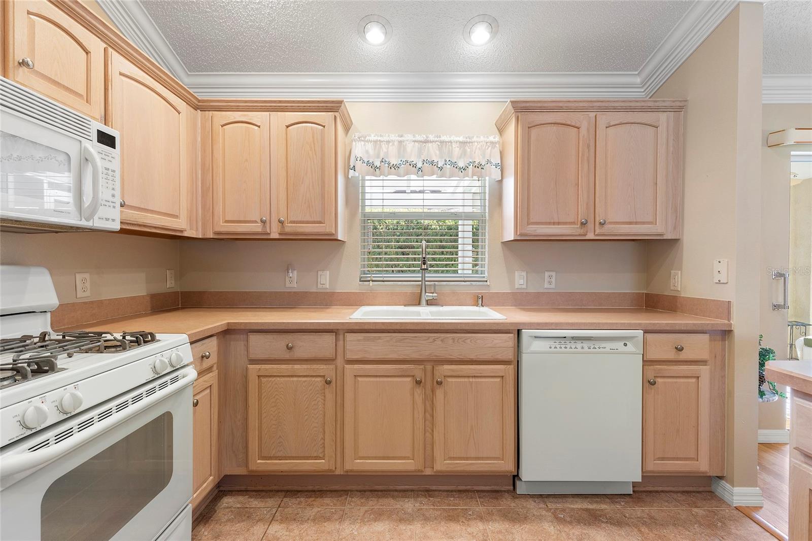 1982 SOMERSET AVE, THE VILLAGES, FL, 32162