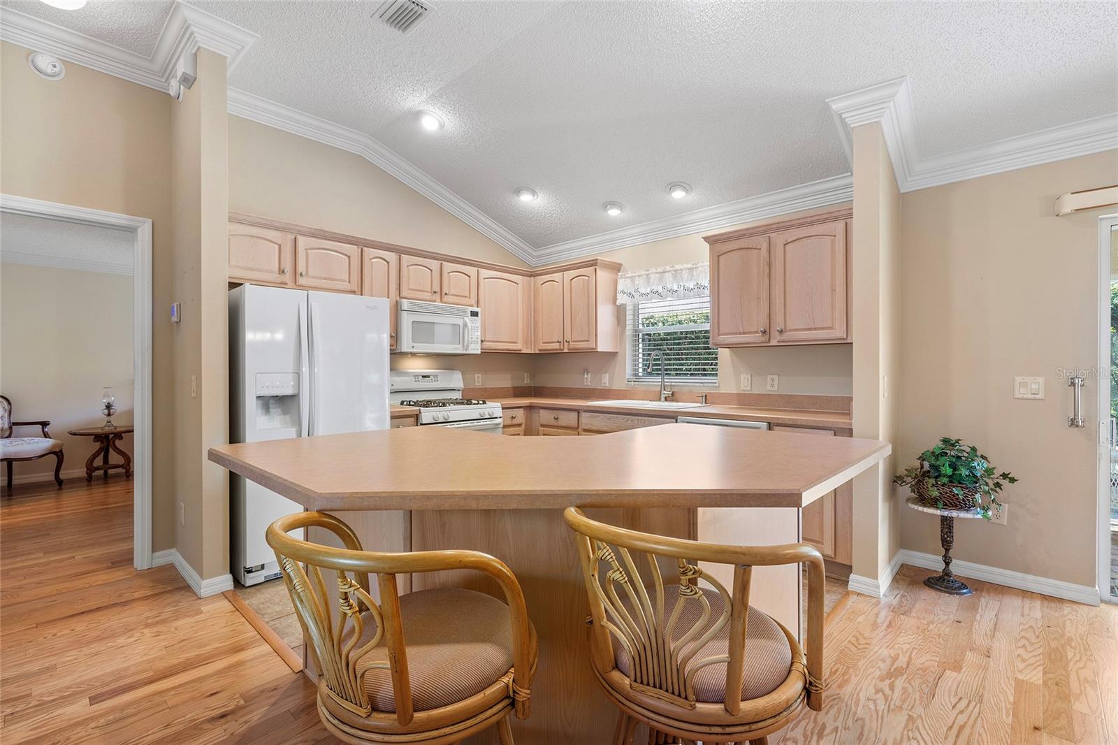 1982 SOMERSET AVE, THE VILLAGES, FL, 32162
