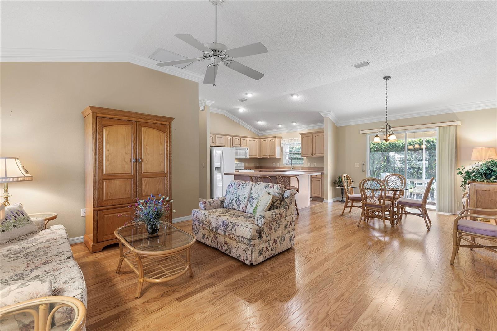 1982 SOMERSET AVE, THE VILLAGES, FL, 32162
