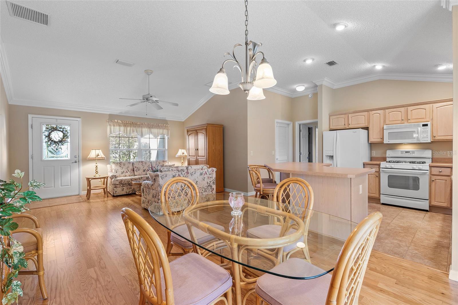 1982 SOMERSET AVE, THE VILLAGES, FL, 32162