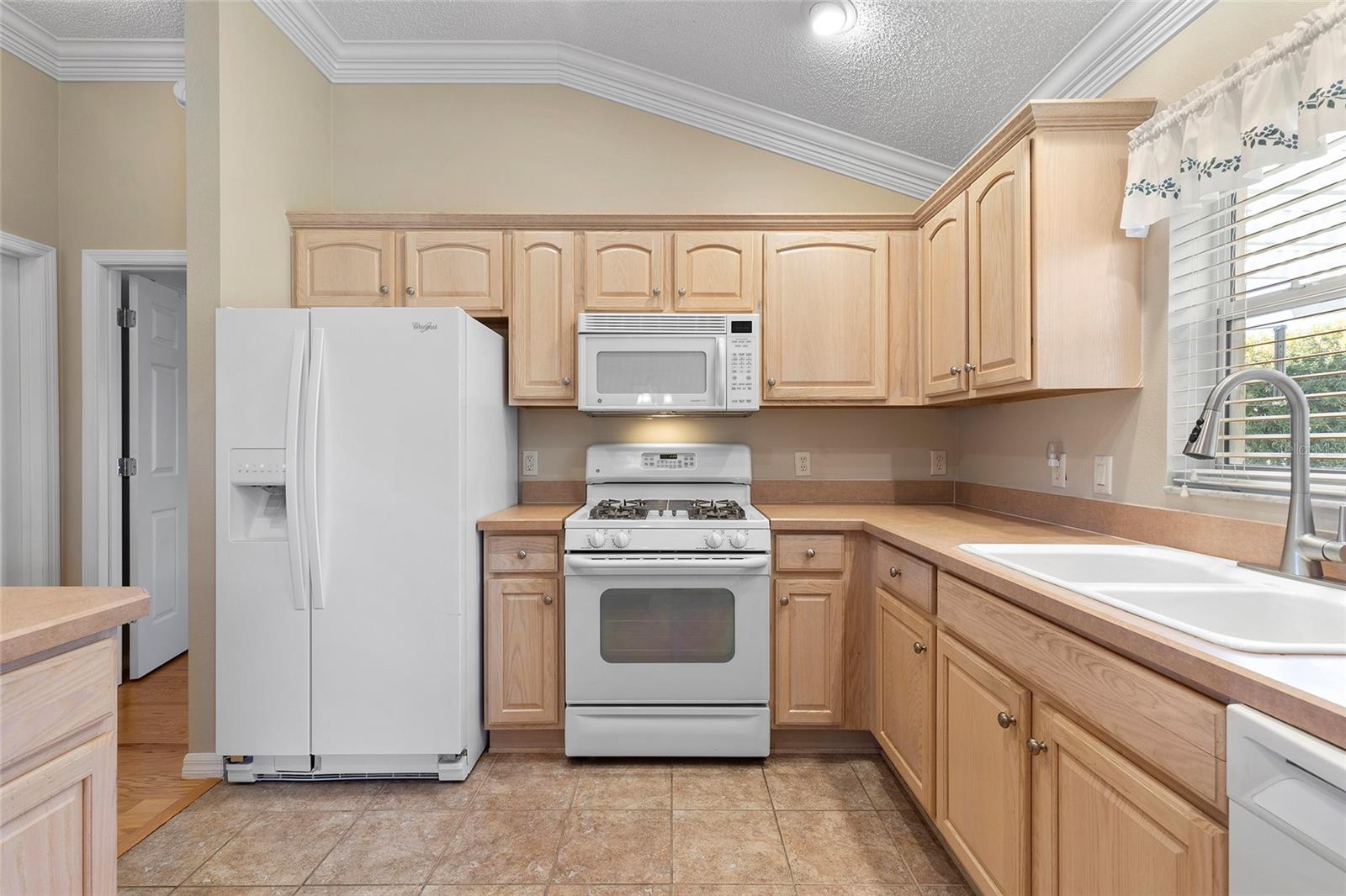 1982 SOMERSET AVE, THE VILLAGES, FL, 32162