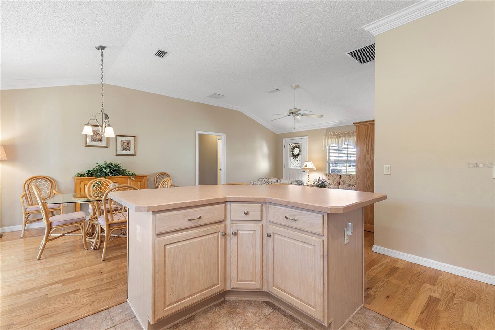 1982 SOMERSET AVE, THE VILLAGES, FL, 32162