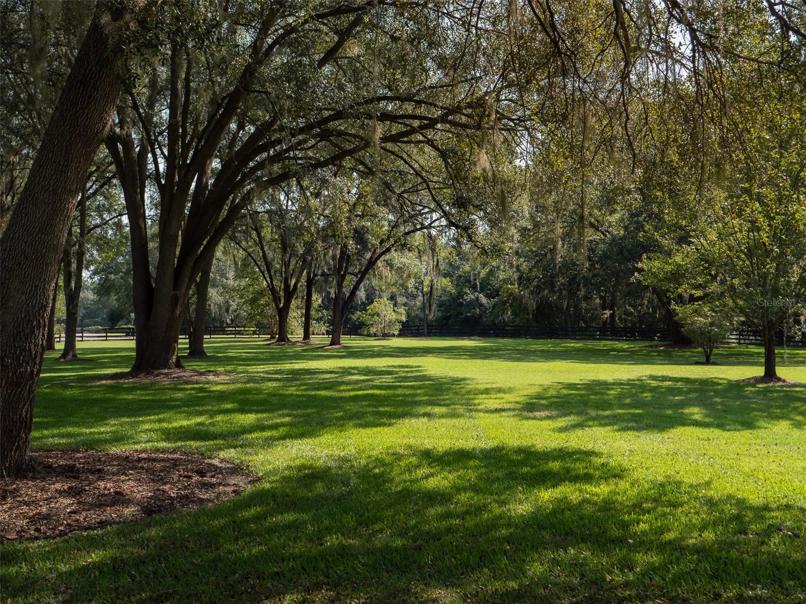 15135 NW 11TH PL, NEWBERRY, FL, 32669