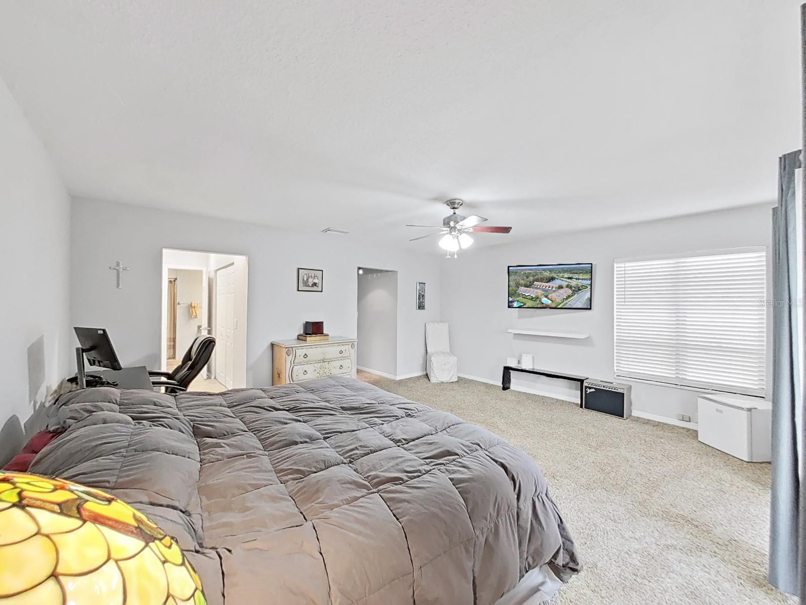 13804 MILL COVE CIR, TAMPA, FL, 33618