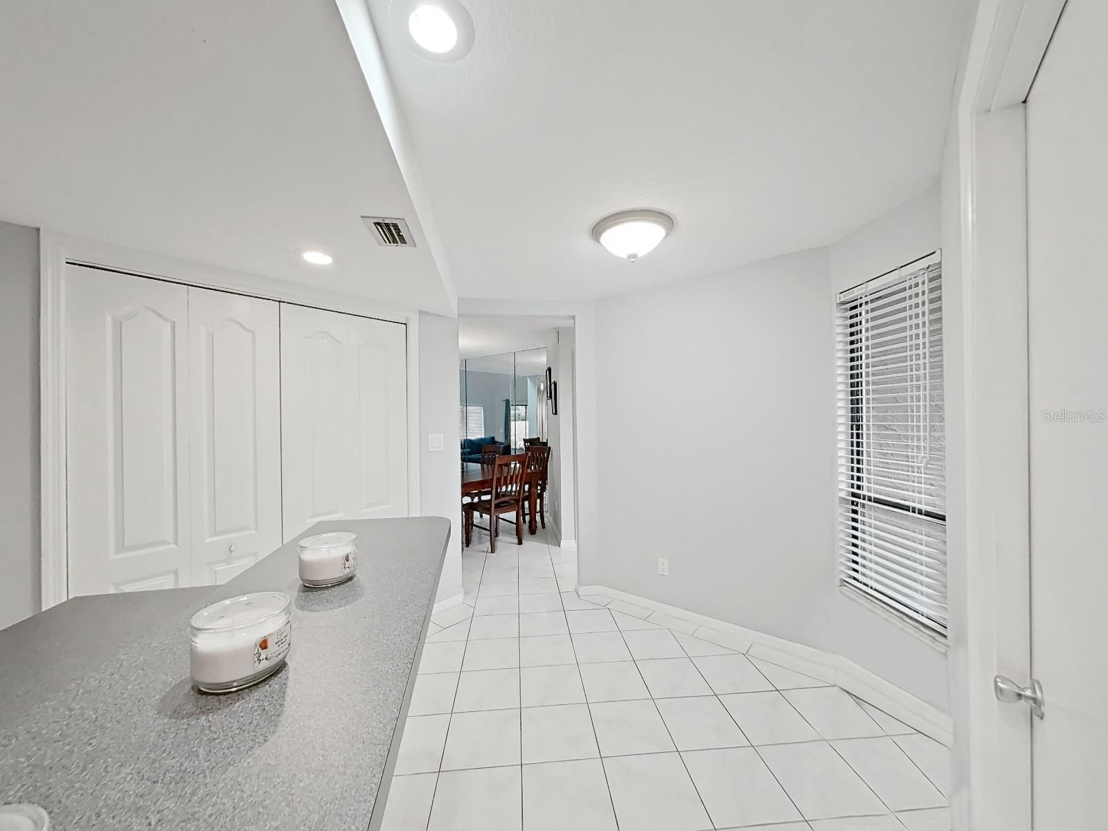 13804 MILL COVE CIR, TAMPA, FL, 33618