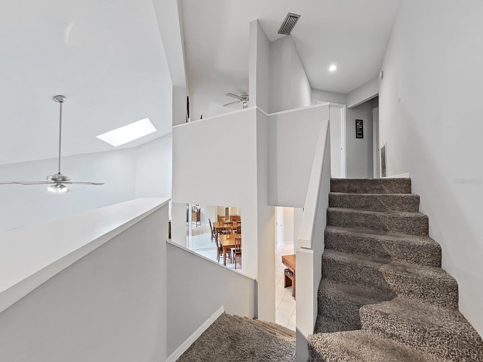 13804 MILL COVE CIR, TAMPA, FL, 33618