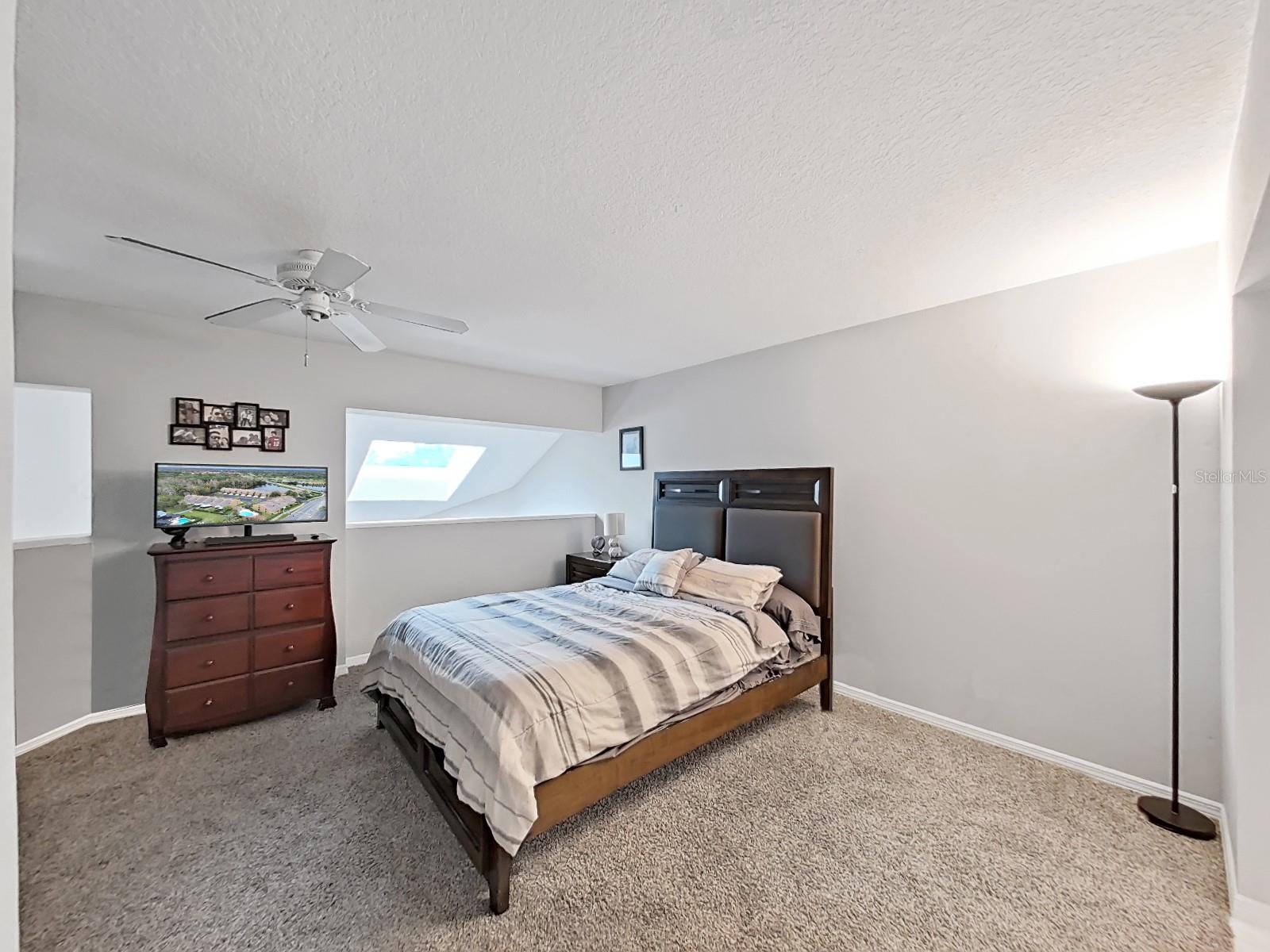13804 MILL COVE CIR, TAMPA, FL, 33618