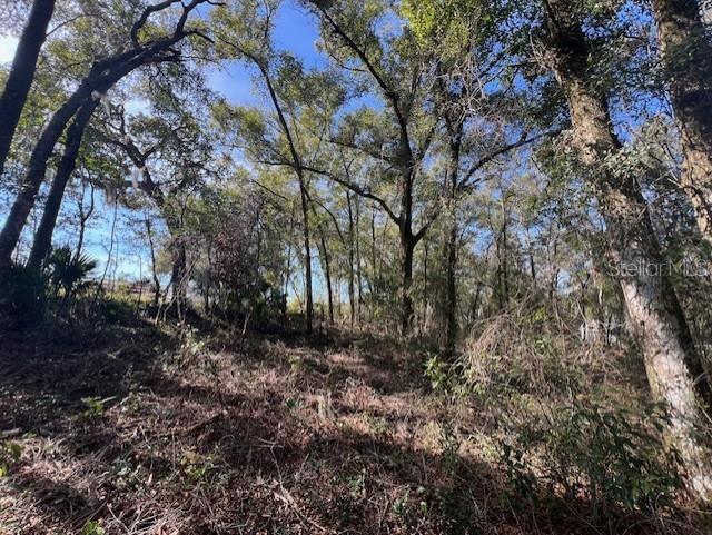 MERCERS FERNERY RD, DELAND, FL, 32720