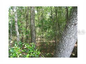 MERCERS FERNERY RD, DELAND, FL, 32720