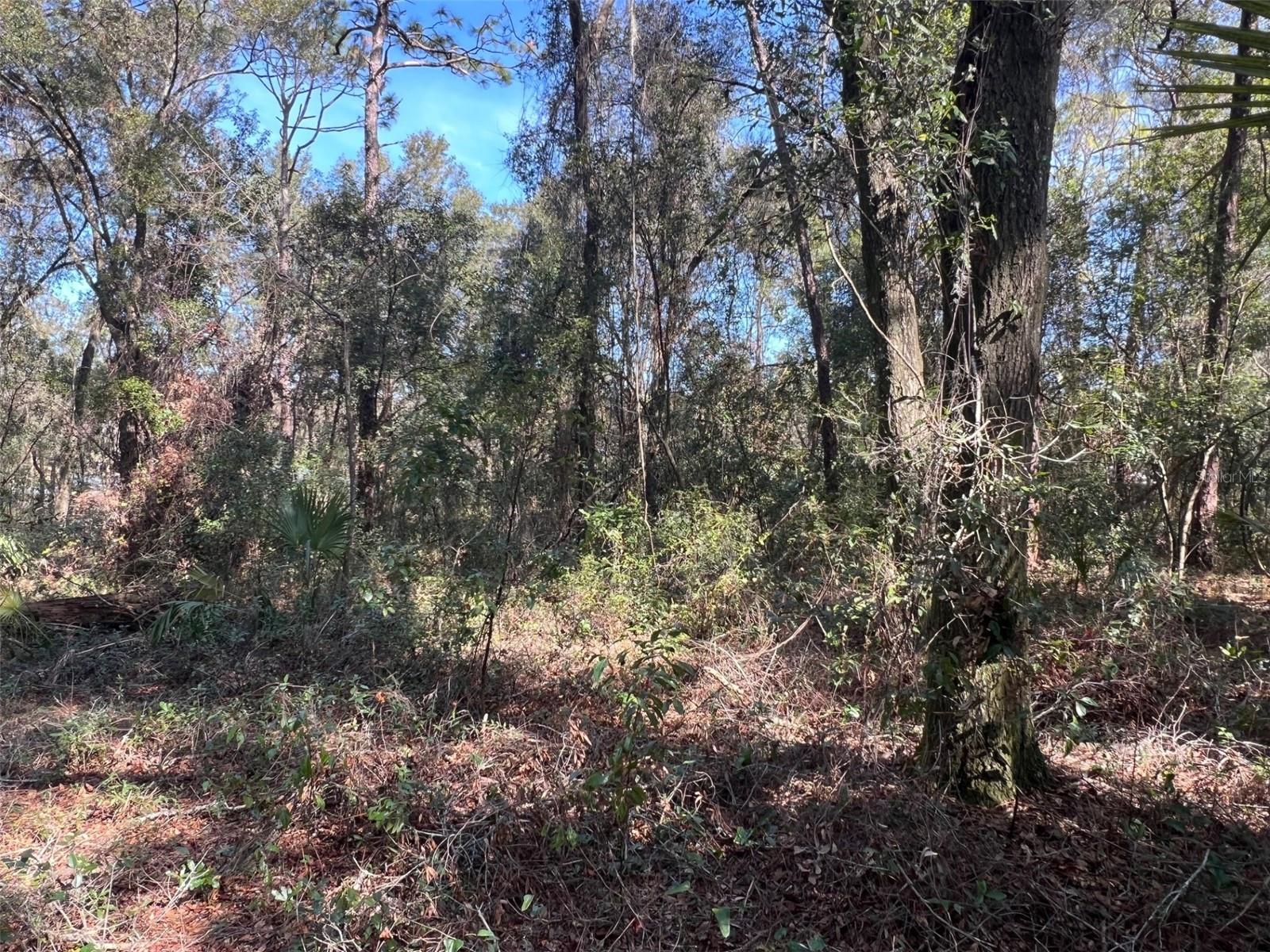 MERCERS FERNERY RD, DELAND, FL, 32720