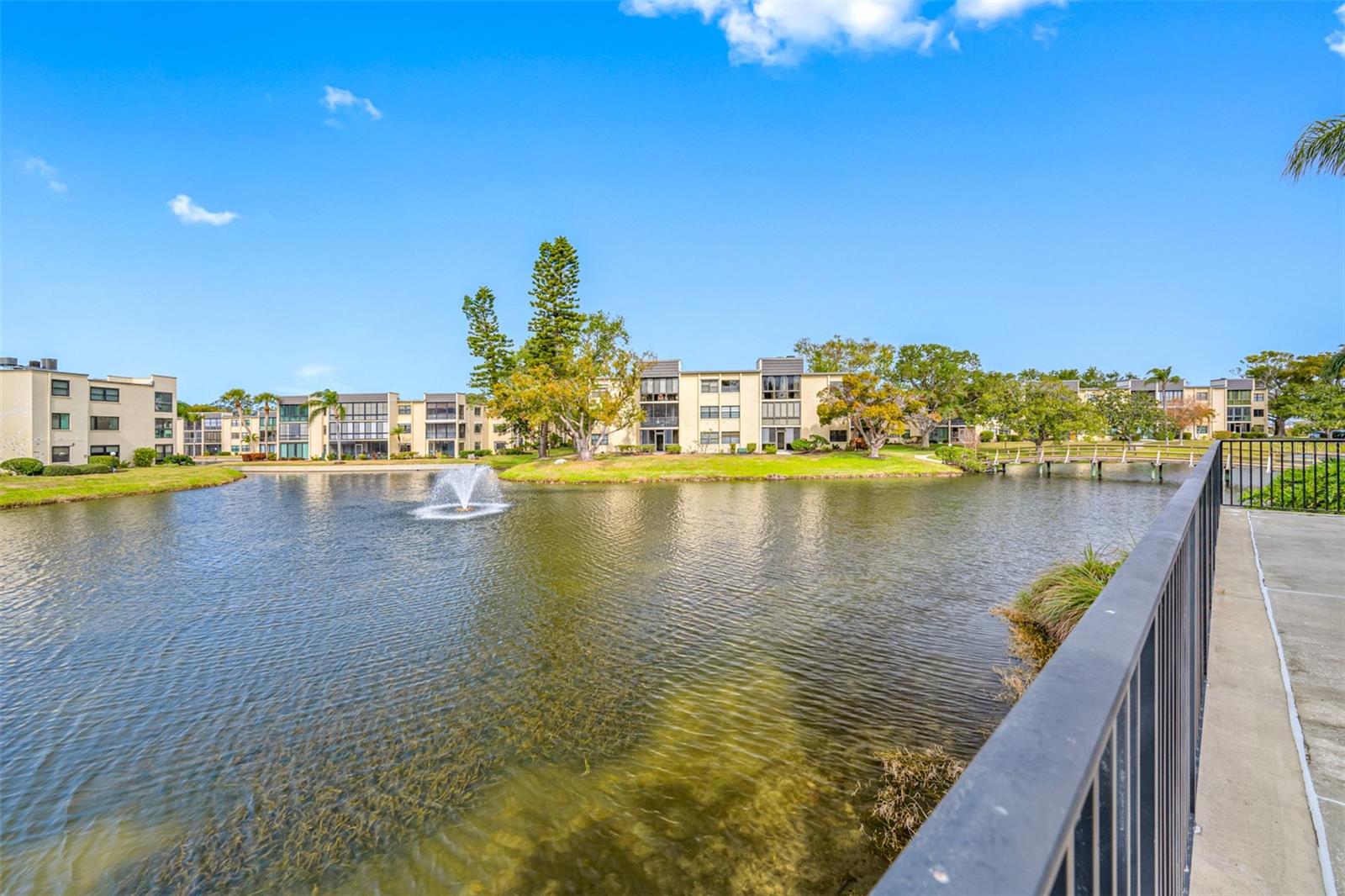 14130 ROSEMARY LN #2203, LARGO, FL, 33774