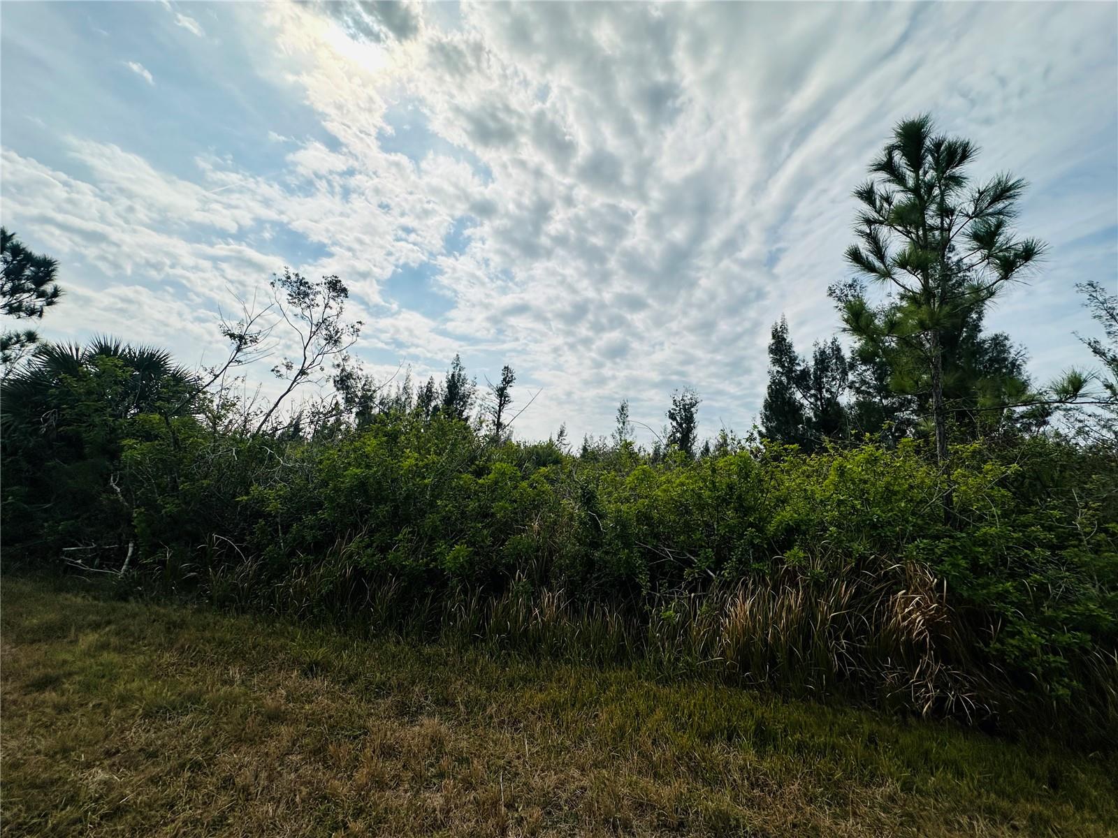 10179 ABELLO RD, PORT CHARLOTTE, FL, 33981