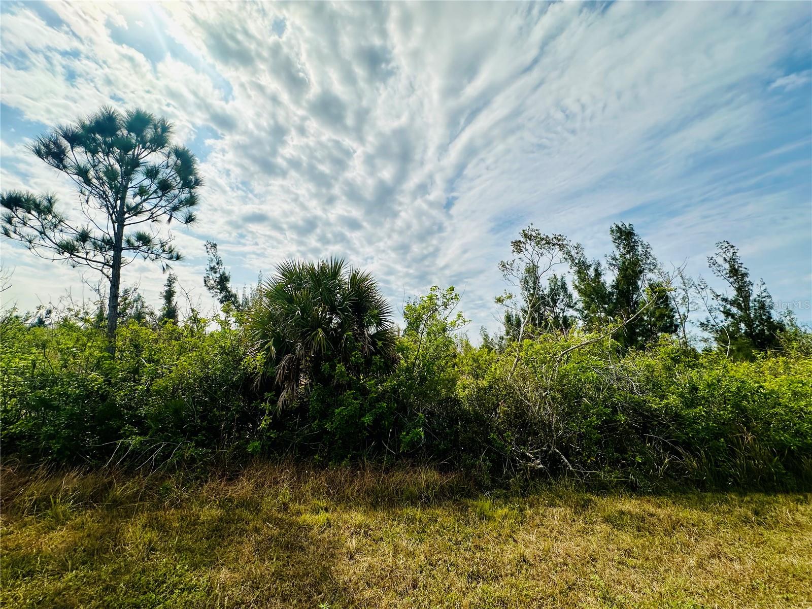 10179 ABELLO RD, PORT CHARLOTTE, FL, 33981