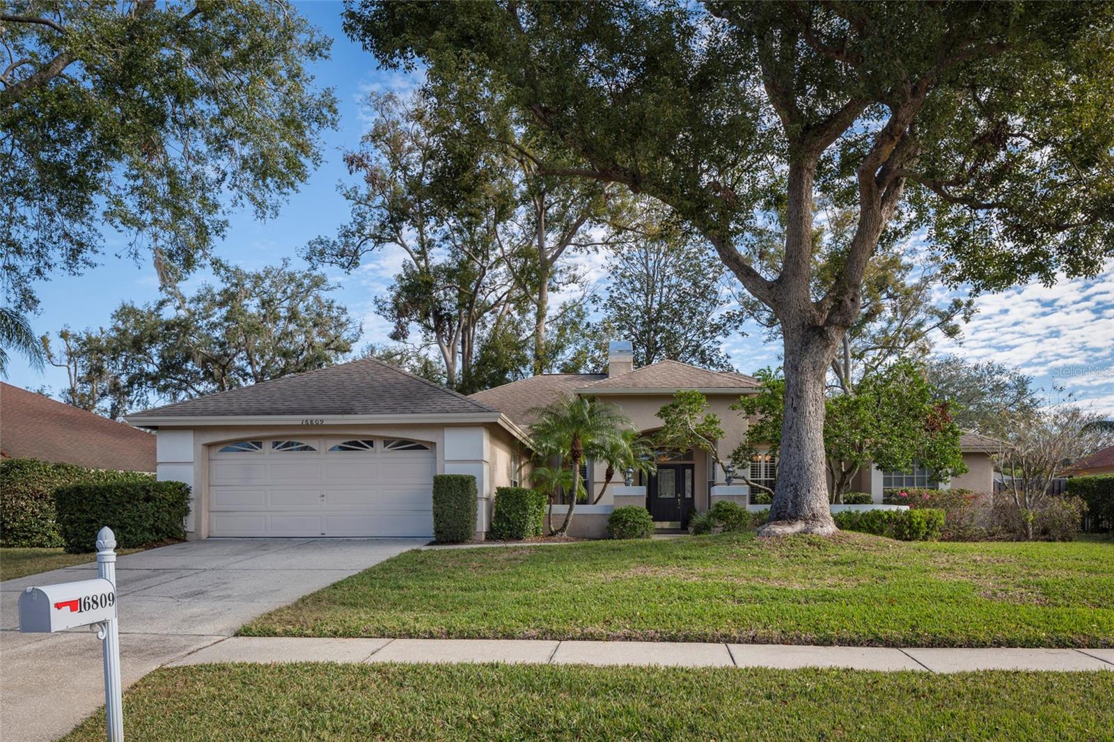 16809 WOBURN LN, LUTZ, FL, 33549