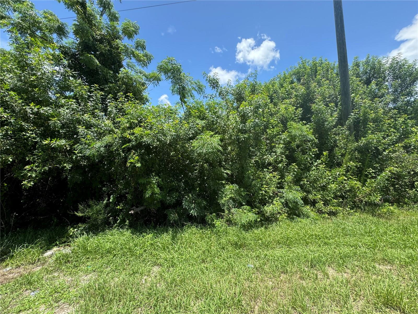 21450 QUESADA AVE, PORT CHARLOTTE, FL, 33952