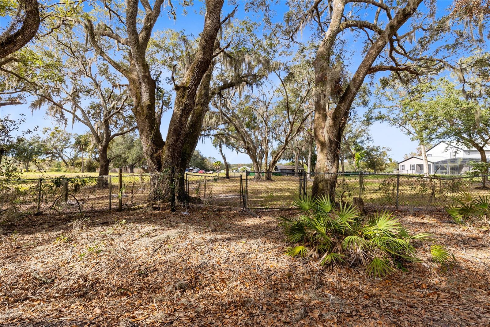 SEMINOLE RD, ST CLOUD, FL, 34772