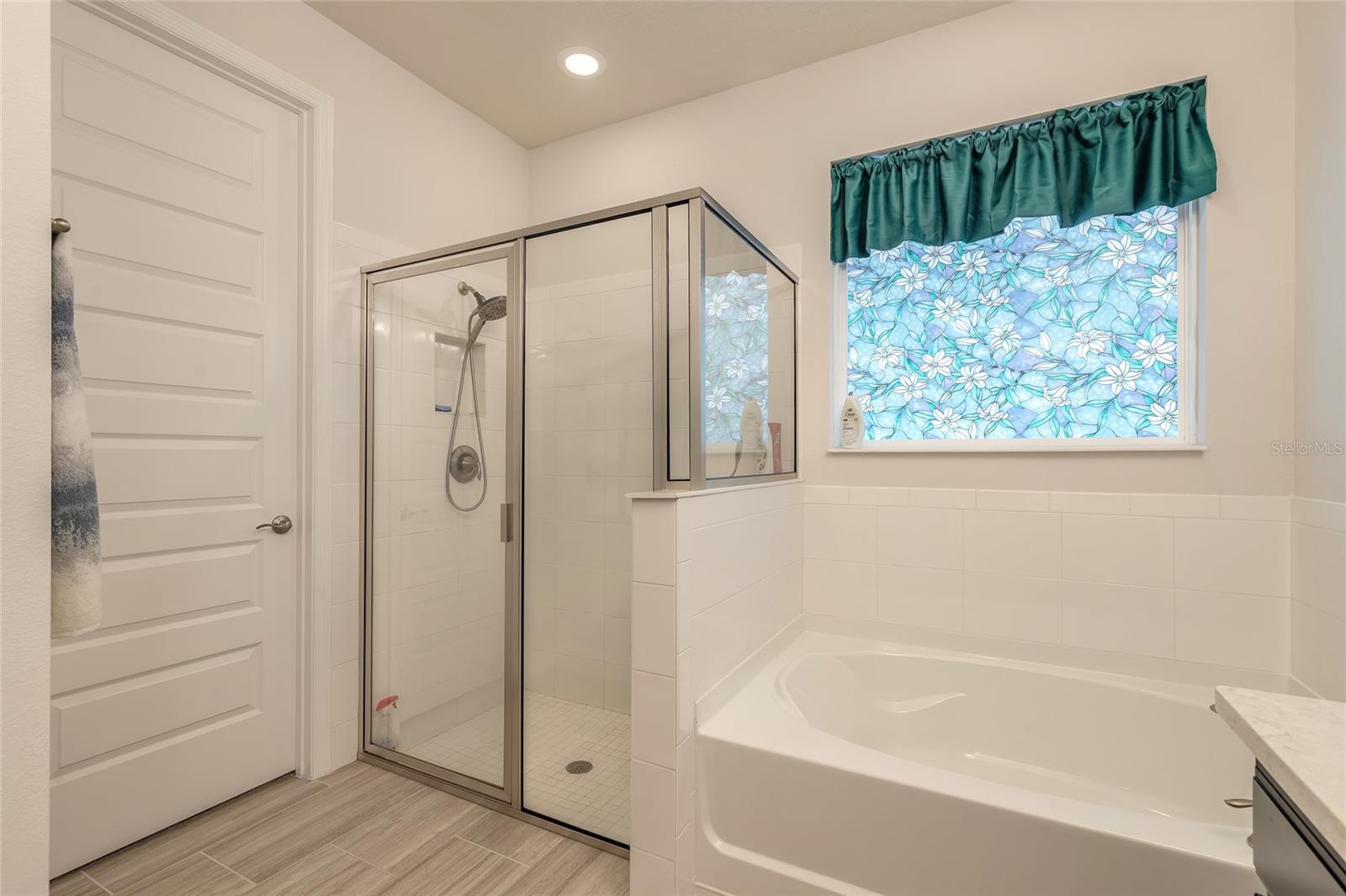 3014 BORASSUS DR, NEW SMYRNA BEACH, FL, 32168