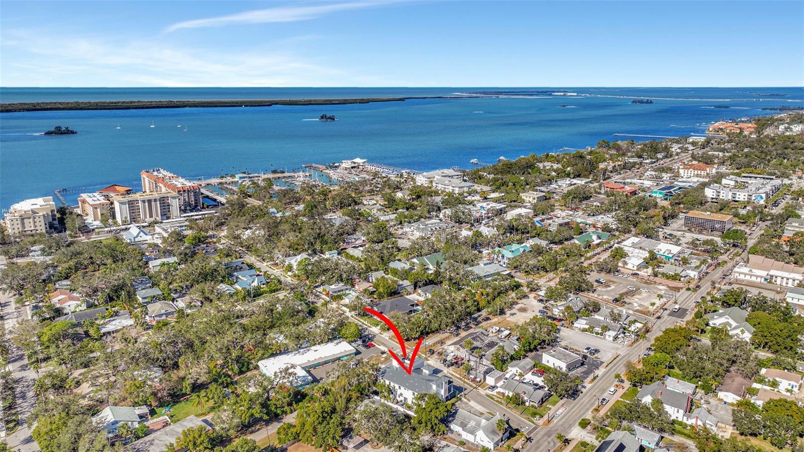 331 ALBERT ST, DUNEDIN, FL, 34698