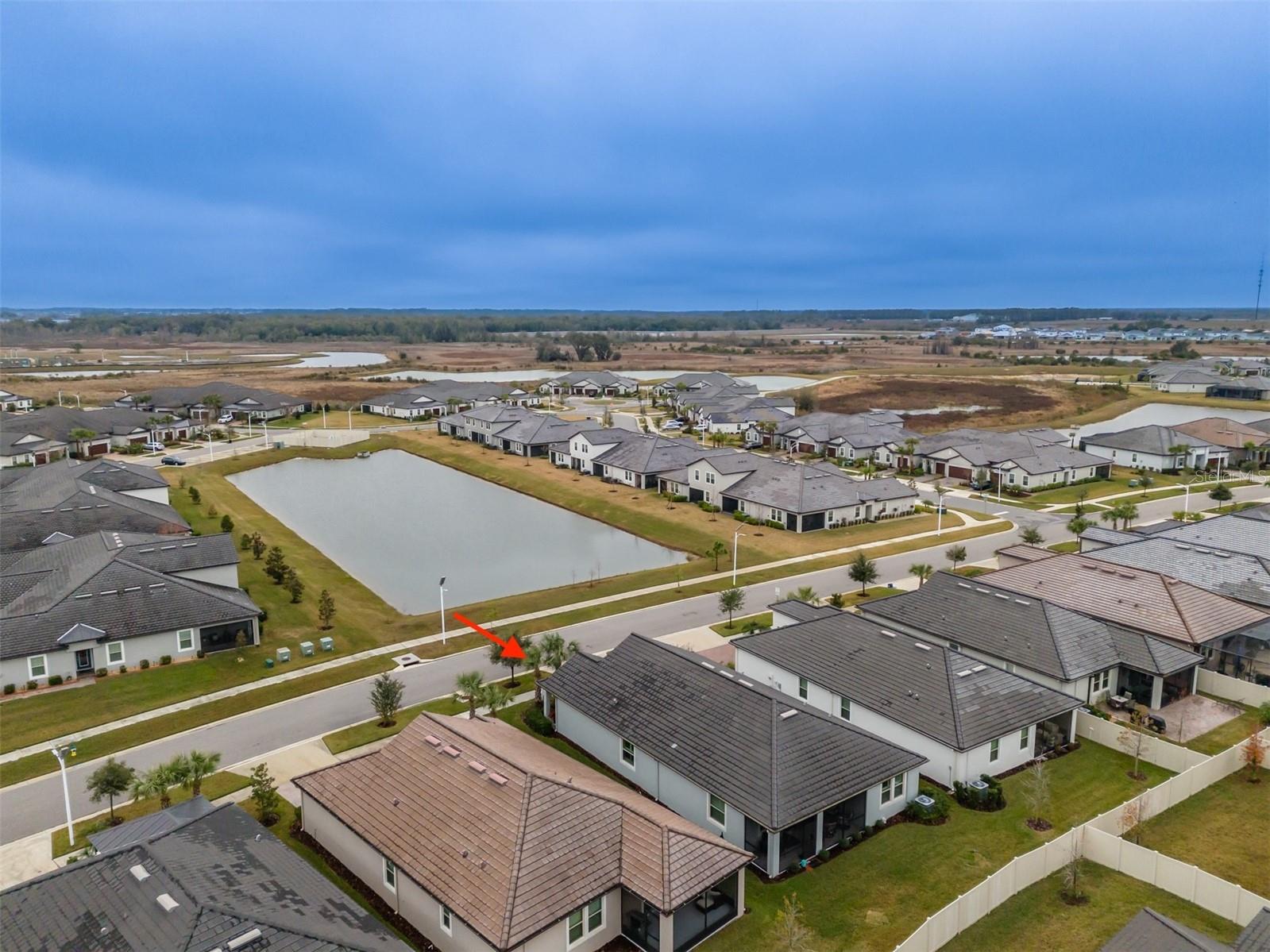 31565 CANNON RUSH DR, SAN ANTONIO, FL, 33576