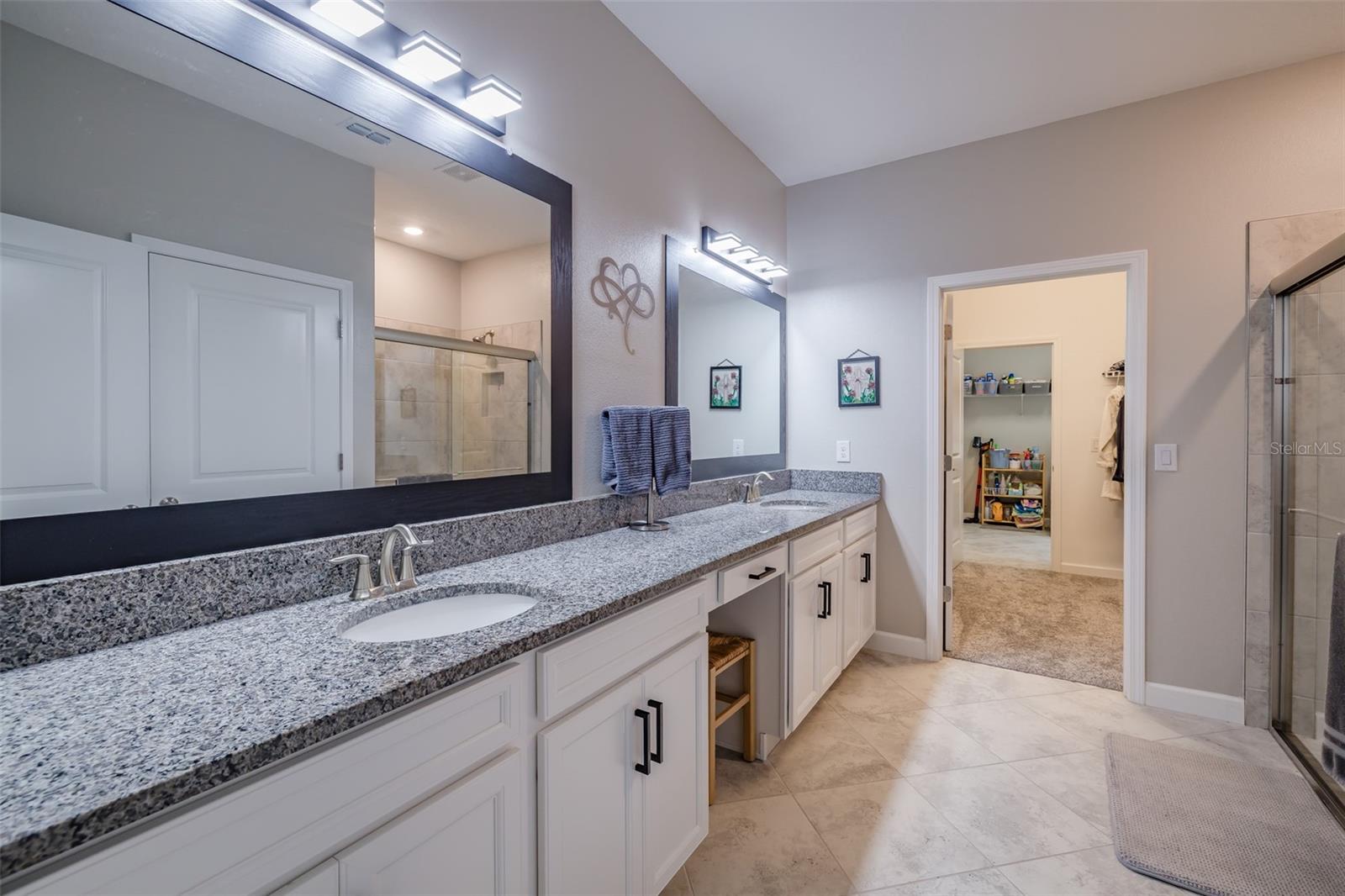 31565 CANNON RUSH DR, SAN ANTONIO, FL, 33576