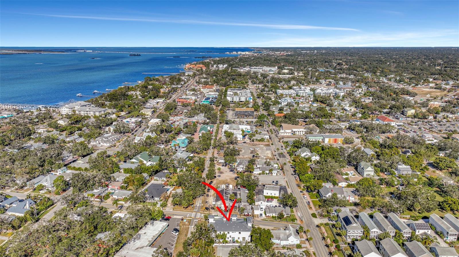 341 ALBERT ST, DUNEDIN, FL, 34698