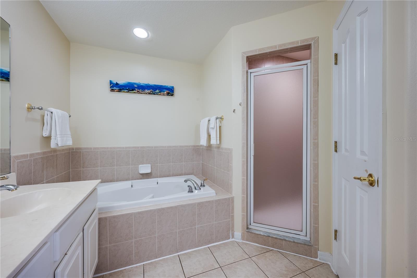 111 VISTA DR, DAVENPORT, FL, 33897