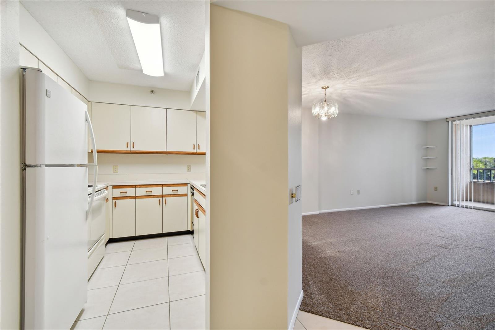 2333 FEATHER SOUND DR #E201, CLEARWATER, FL, 33762