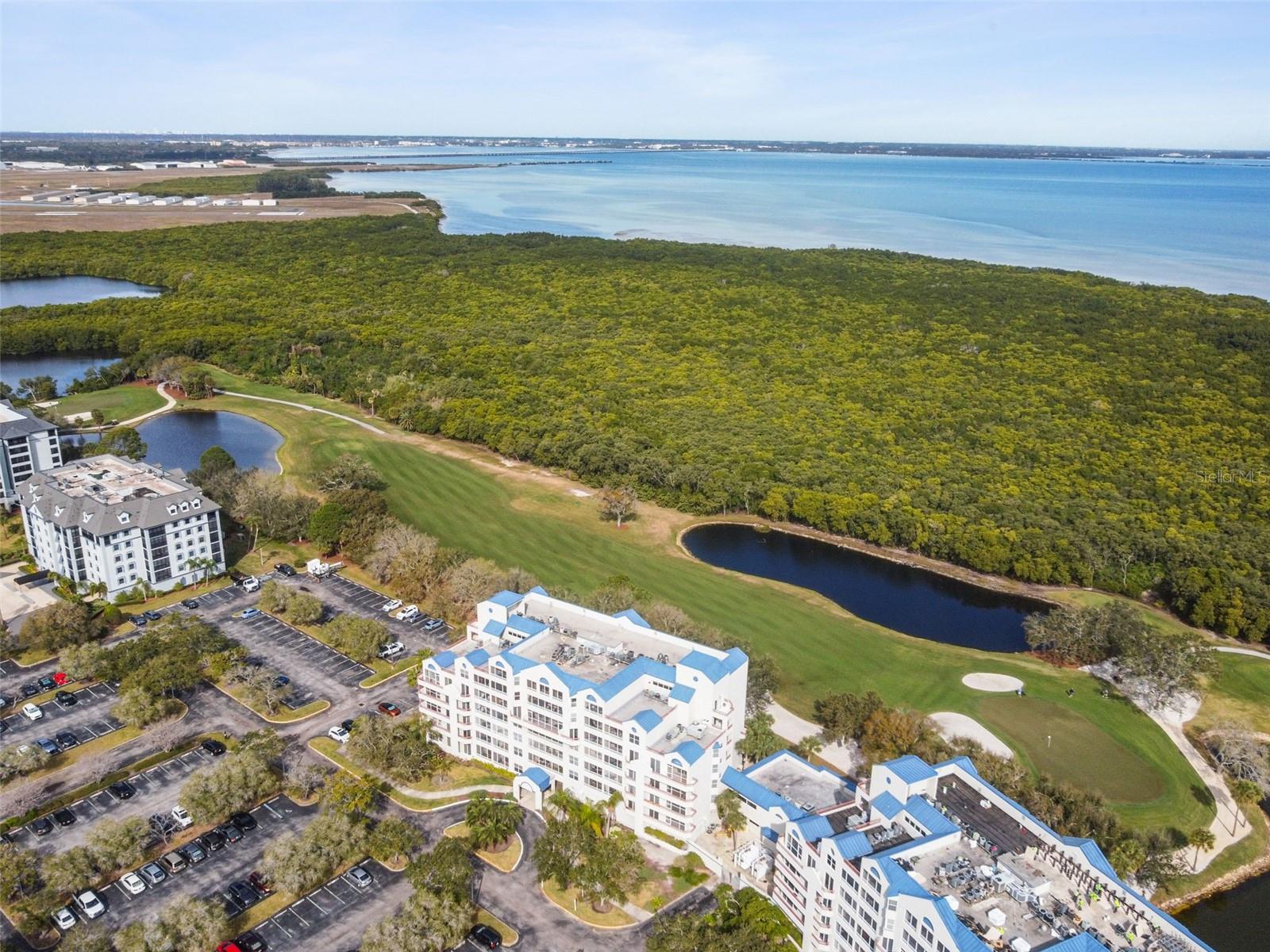 2333 FEATHER SOUND DR #E201, CLEARWATER, FL, 33762