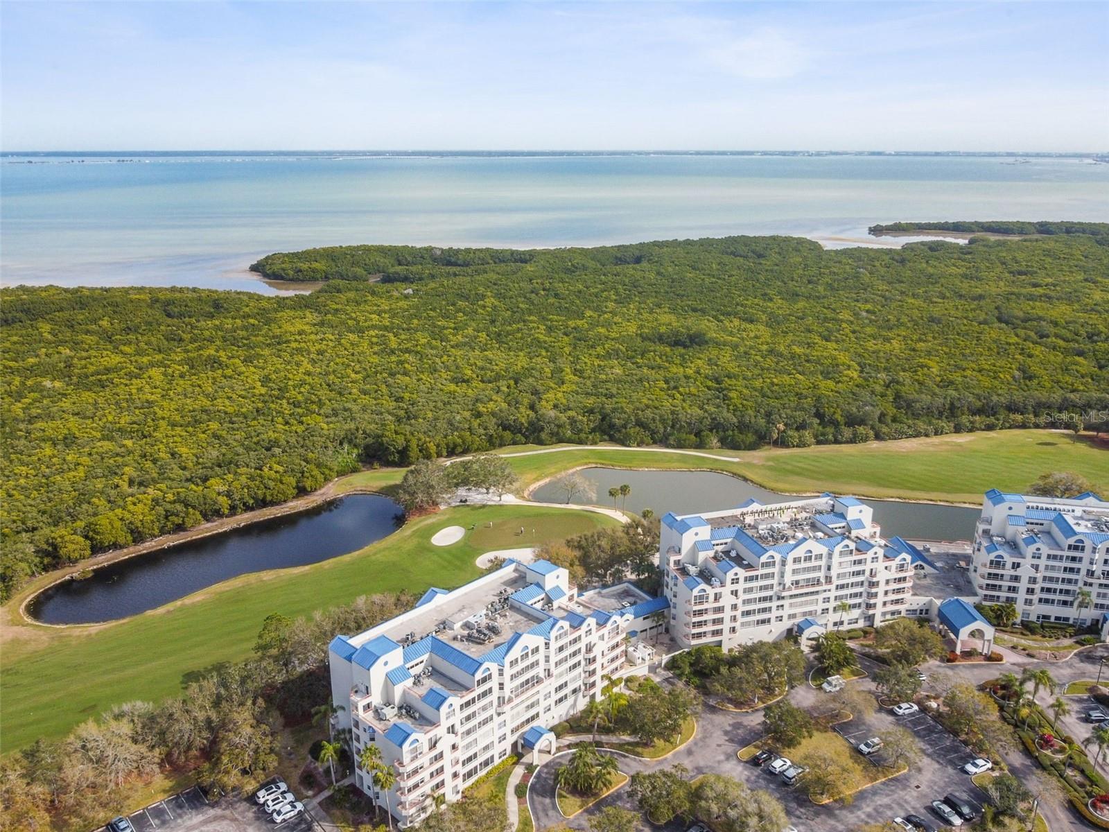 2333 FEATHER SOUND DR #E201, CLEARWATER, FL, 33762