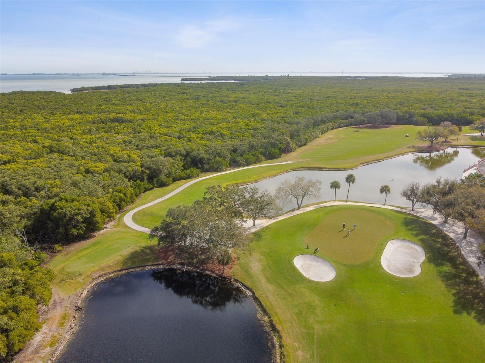 2333 FEATHER SOUND DR #E201, CLEARWATER, FL, 33762