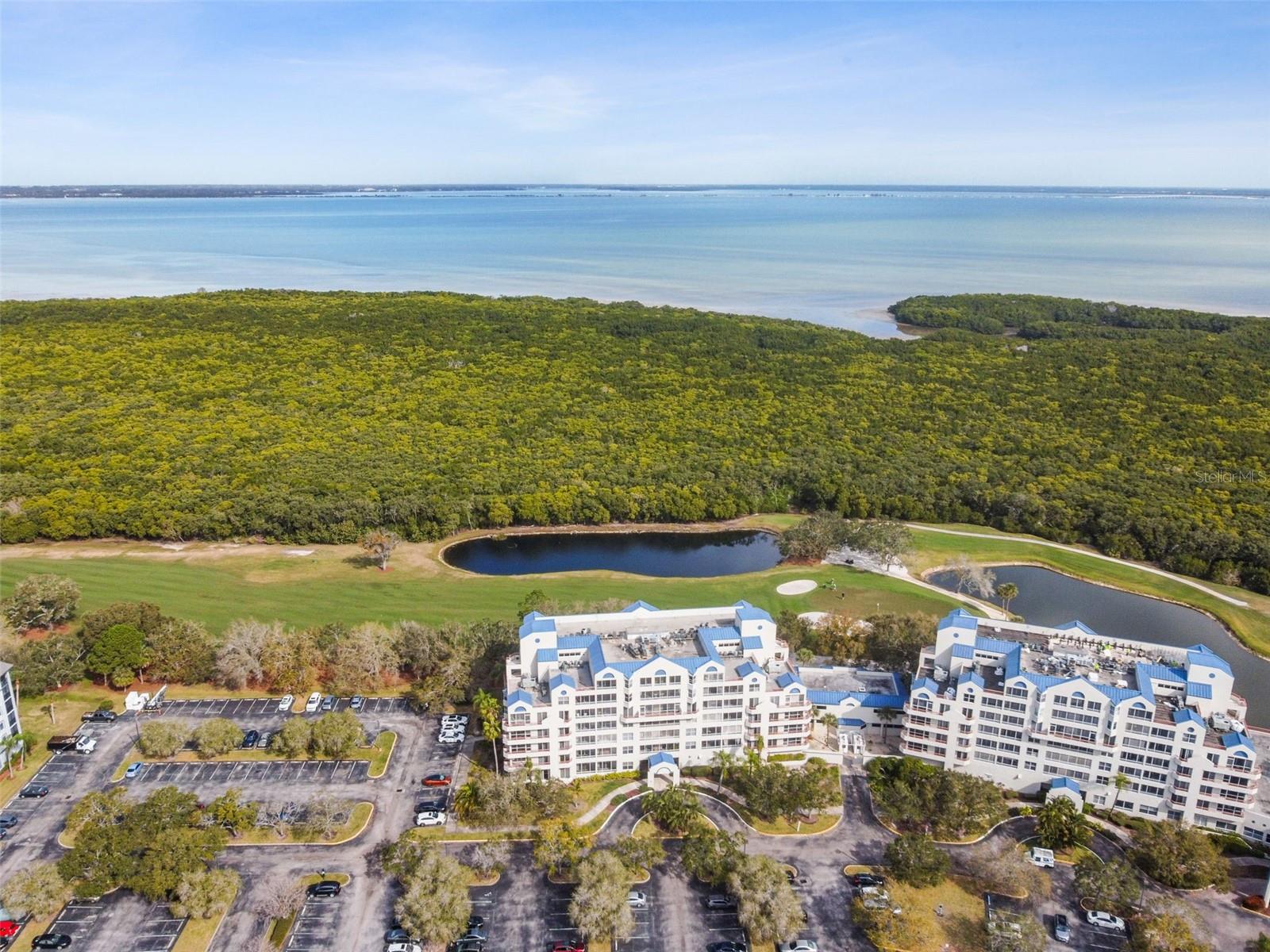 2333 FEATHER SOUND DR #E201, CLEARWATER, FL, 33762