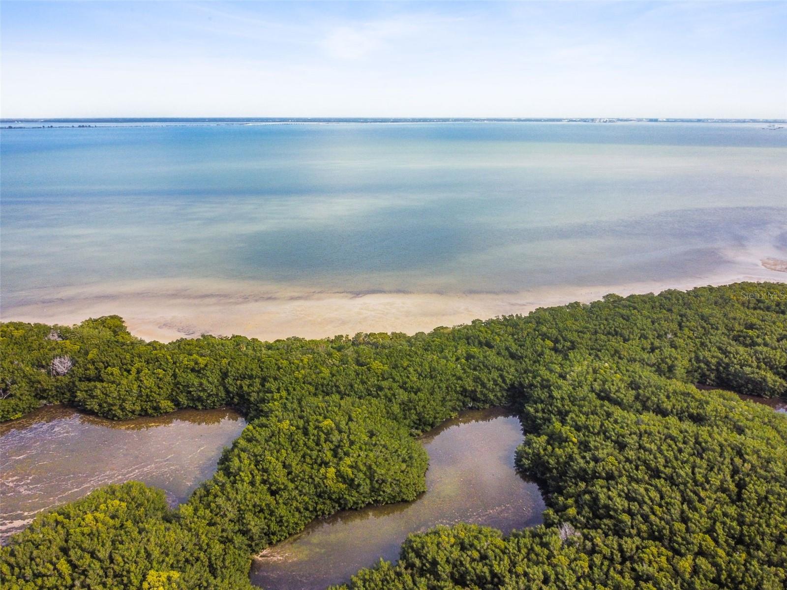 2333 FEATHER SOUND DR #E201, CLEARWATER, FL, 33762