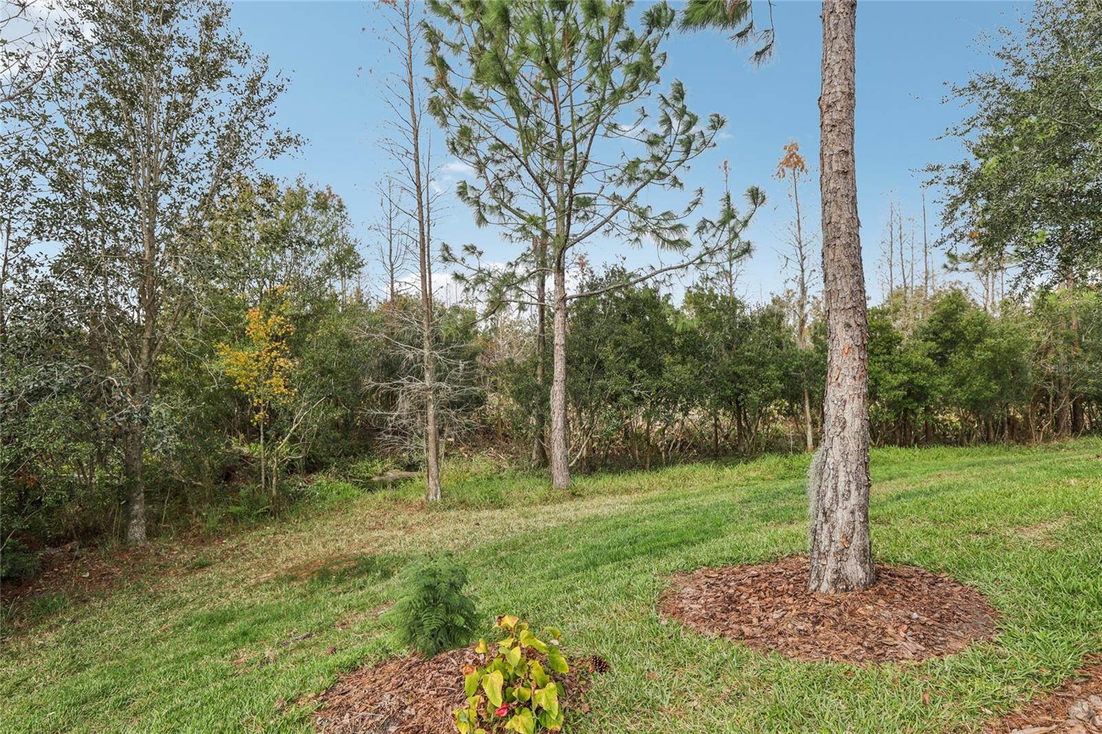 2721 TARRAGONA WAY, WESLEY CHAPEL, FL, 33543