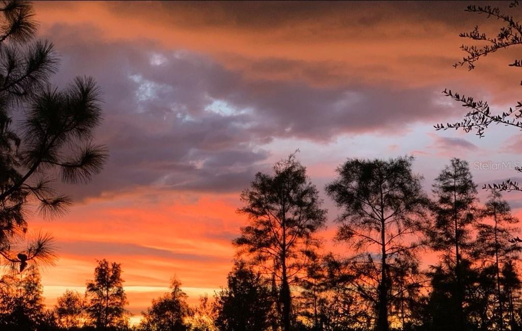 2721 TARRAGONA WAY, WESLEY CHAPEL, FL, 33543